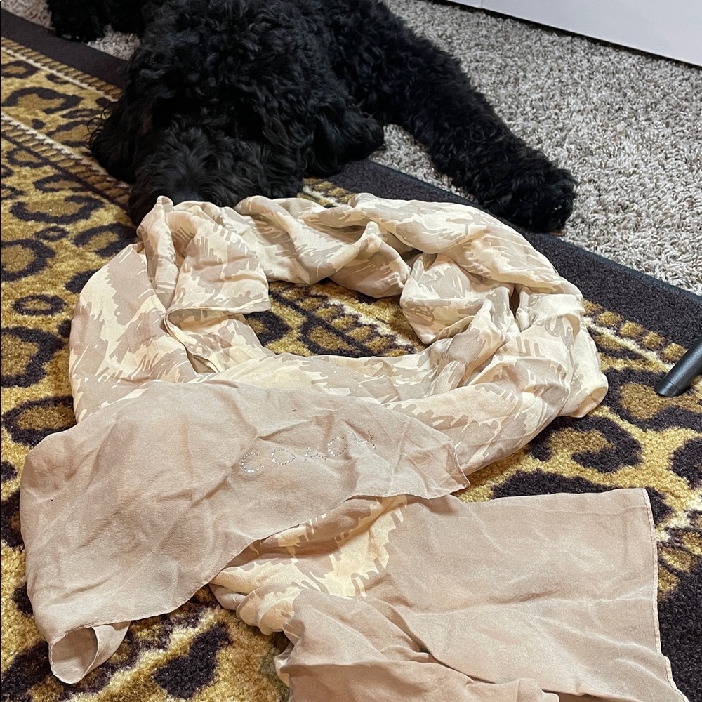 🧣 Coach Silk Rhinestone Logo Scarf — Listing Description - Picture 2 of 6